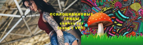 каннабис Арсеньев